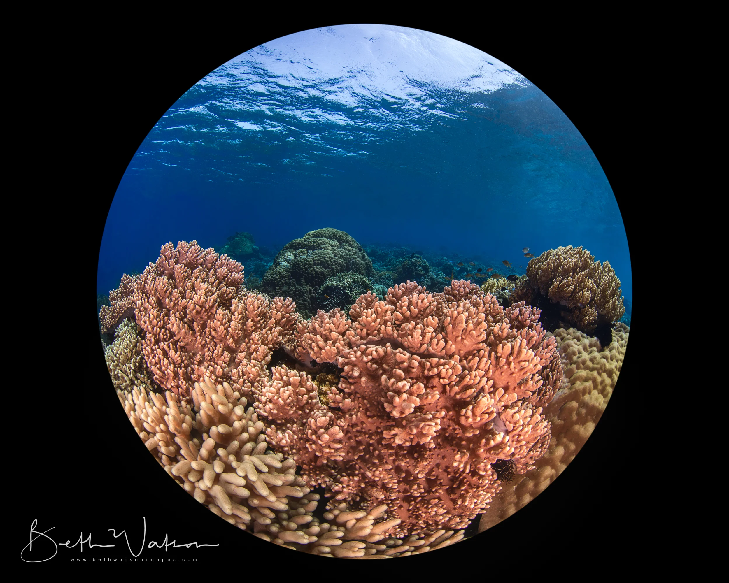 Azure_18_UW-2104-Edit.jpg