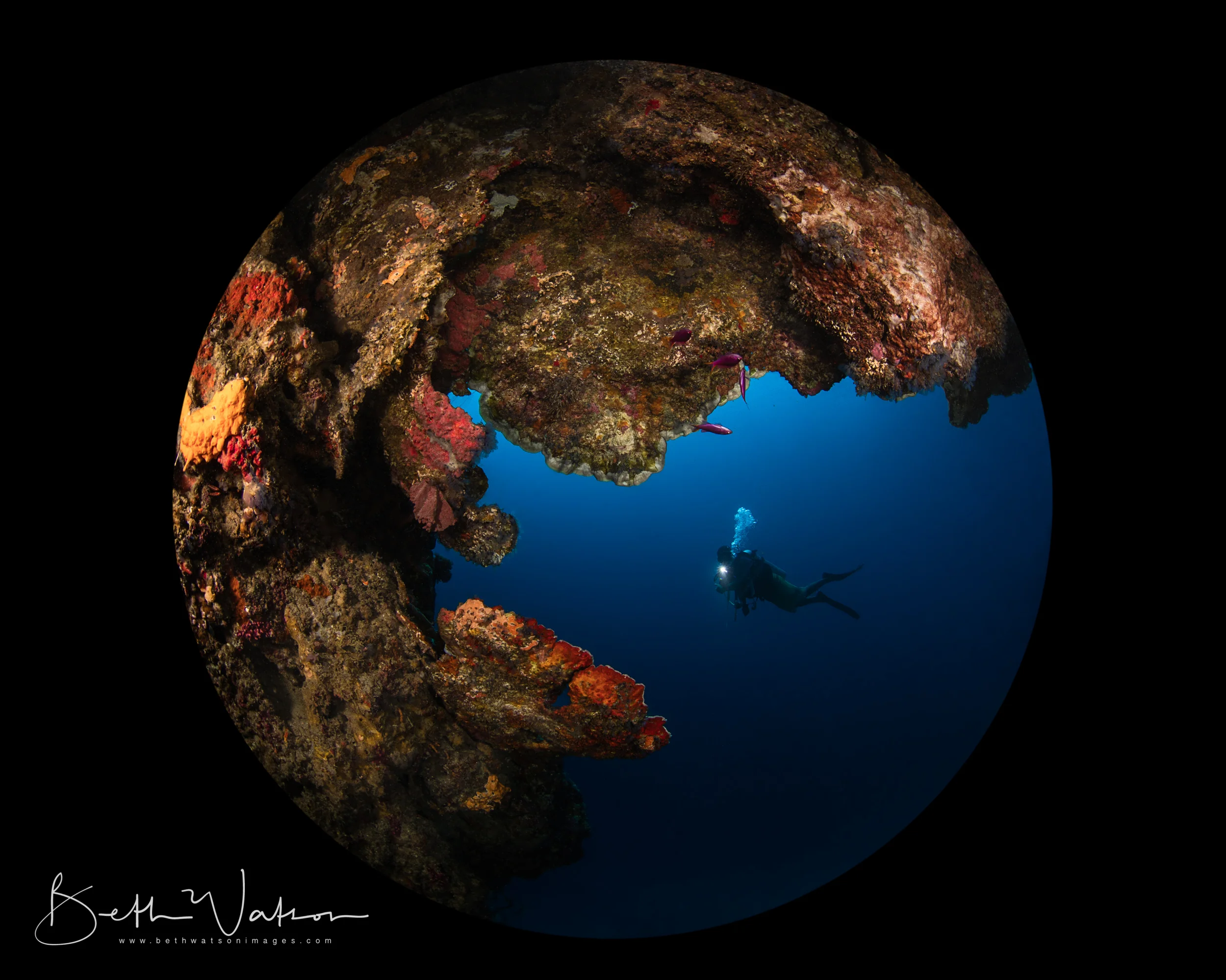 Azure_18_UW-2146-Edit-Edit.jpg