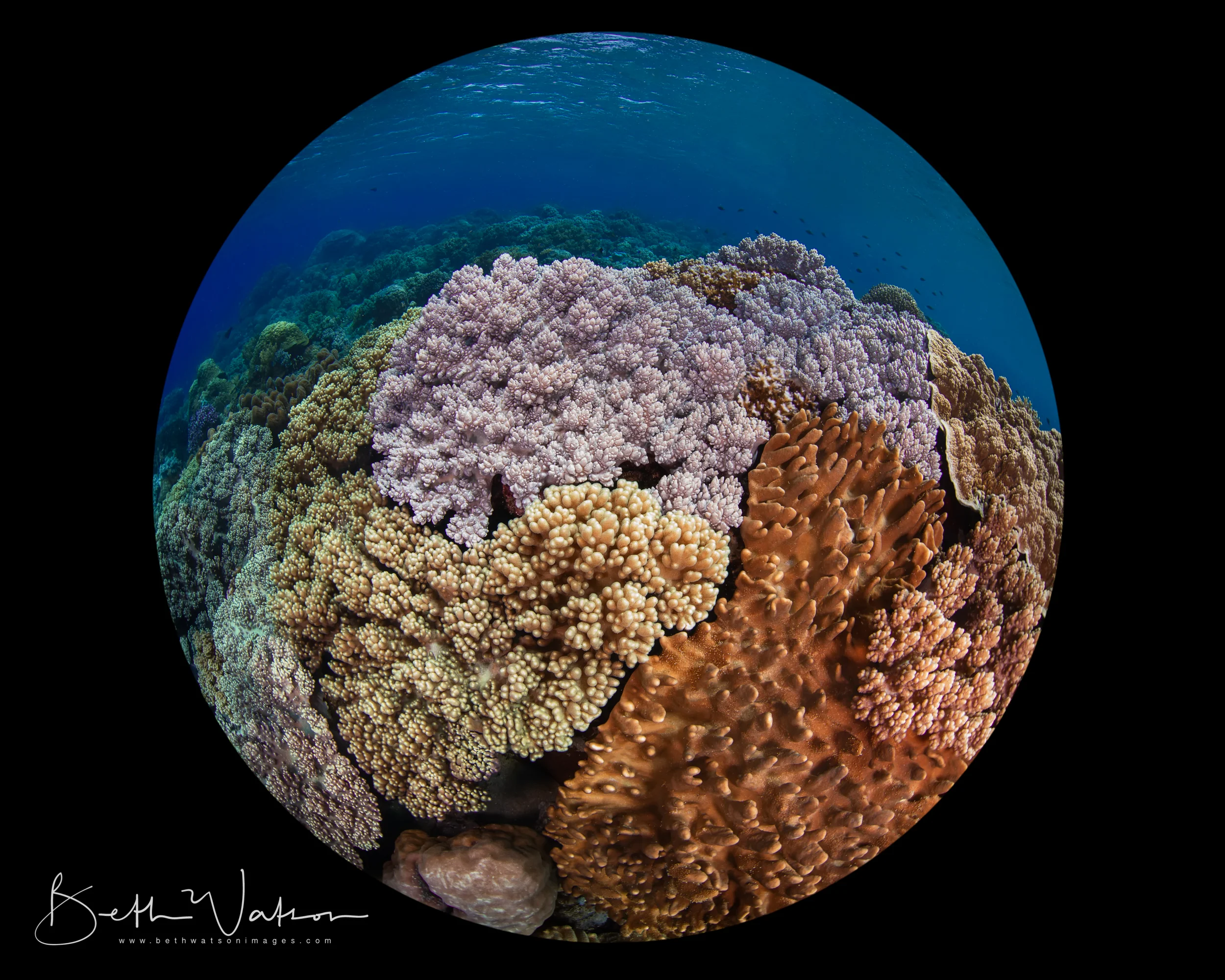 Azure_18_UW-2111-Edit-Edit.jpg
