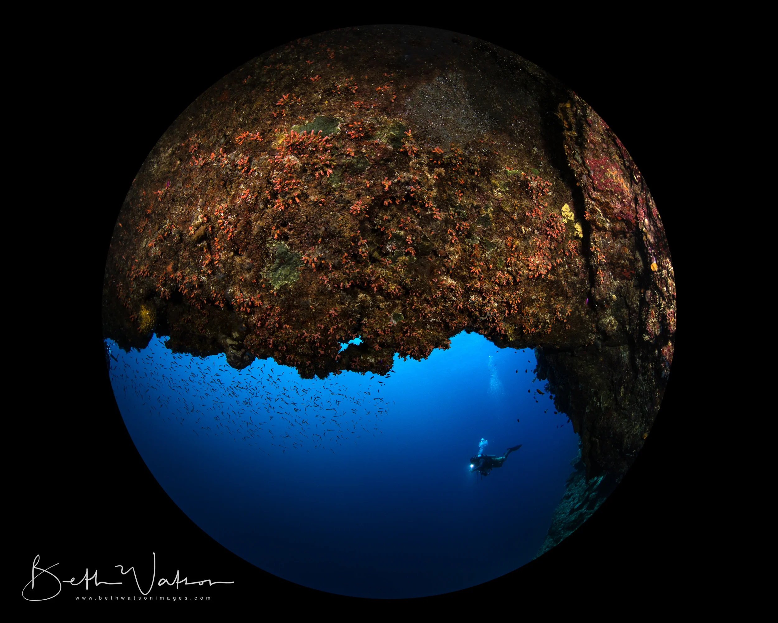 Azure_18_UW-2170-Edit.jpg