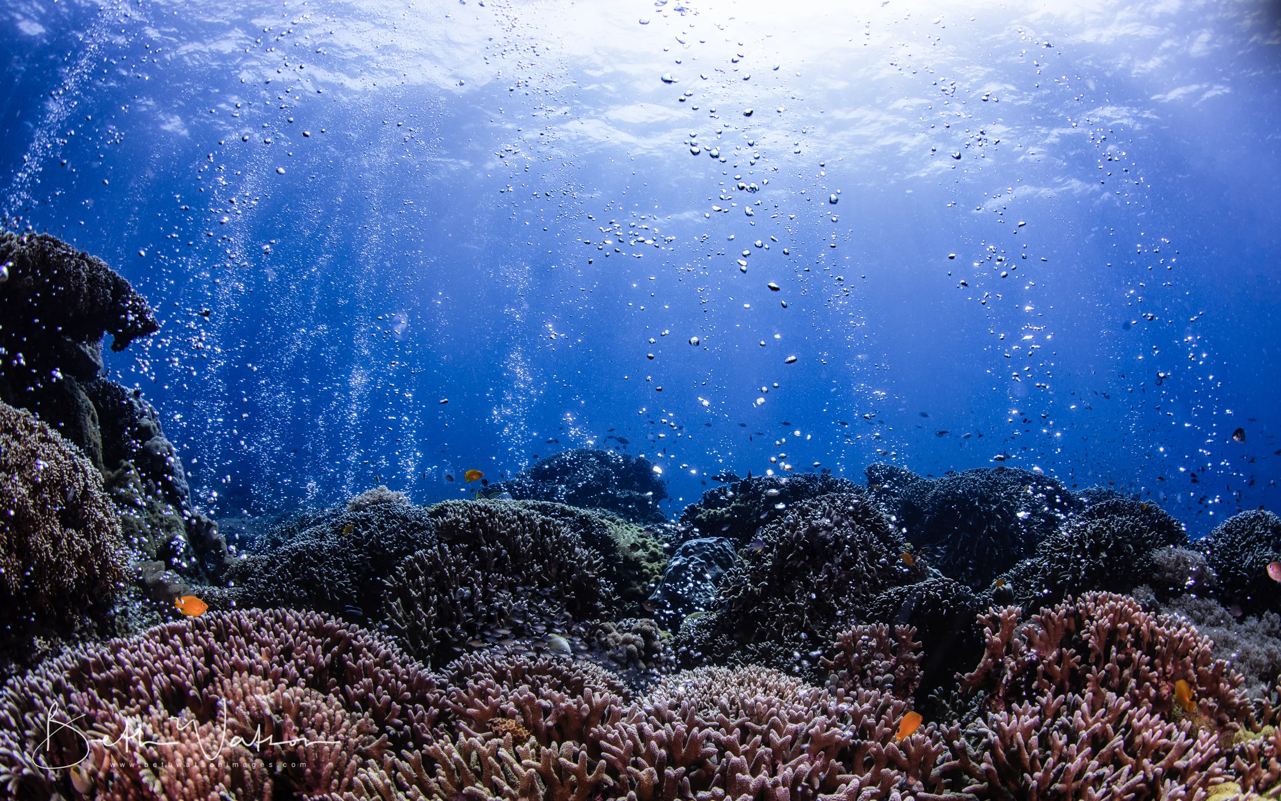 Azure_18_UW-2203-Edit-Edit.jpg