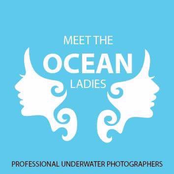 Meet the Ocean Ladies