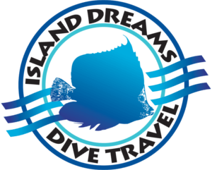 Island Dream Travel