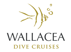 Wallacea Dive Cruises