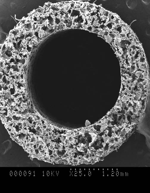 We dream of changing the current paradigm in biomaterials research to focus on materials that mediate protein interactions and the inflammatory response.