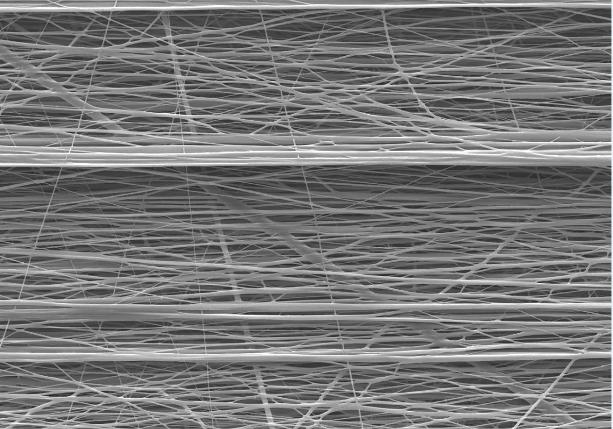 Research Day at the Faculty of Dentistry