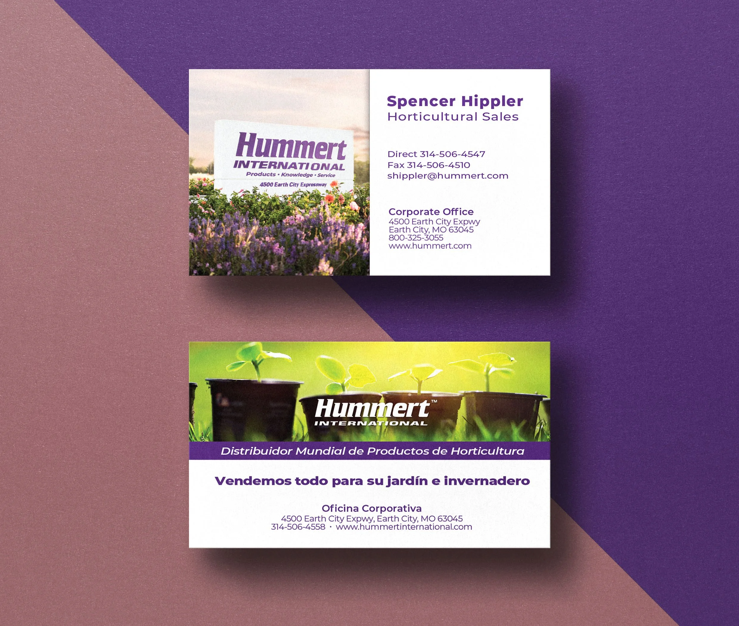 Hummert_BC's_web_3.jpg