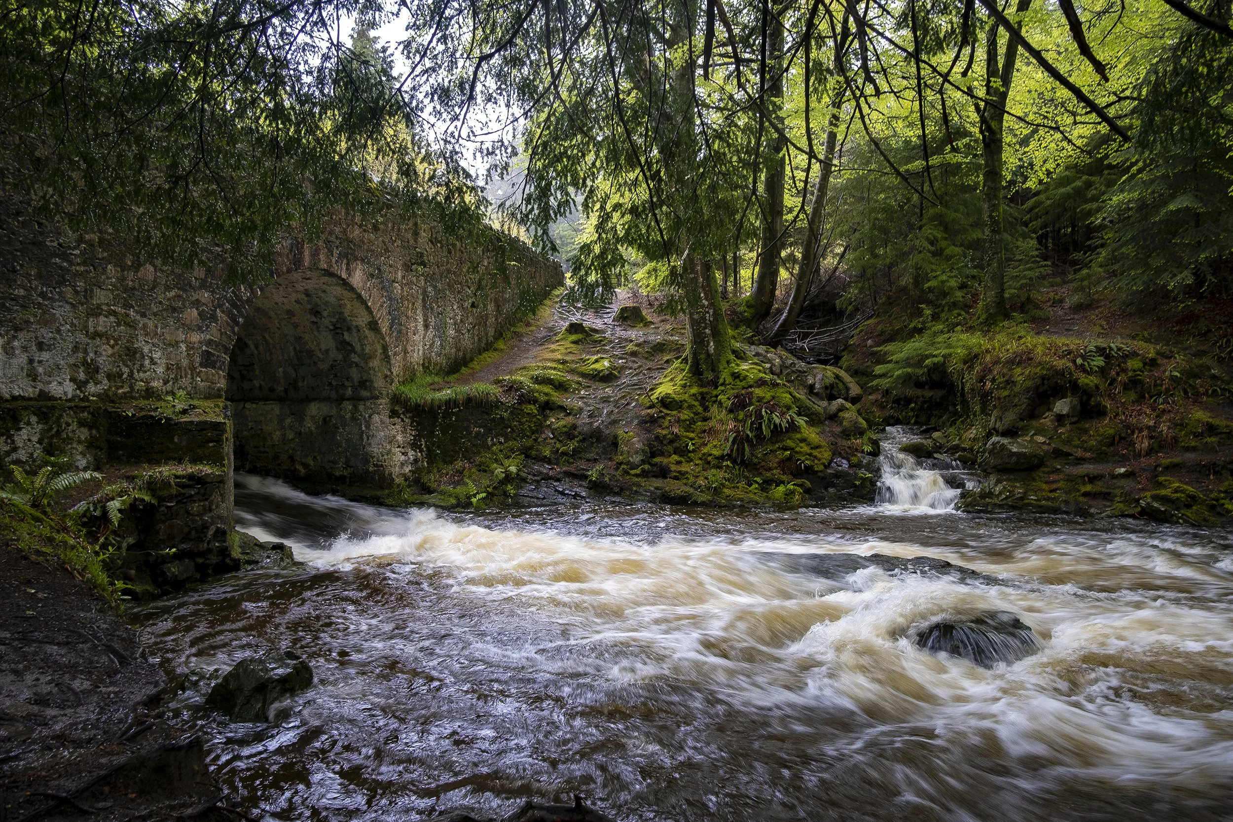 Northern Ireland