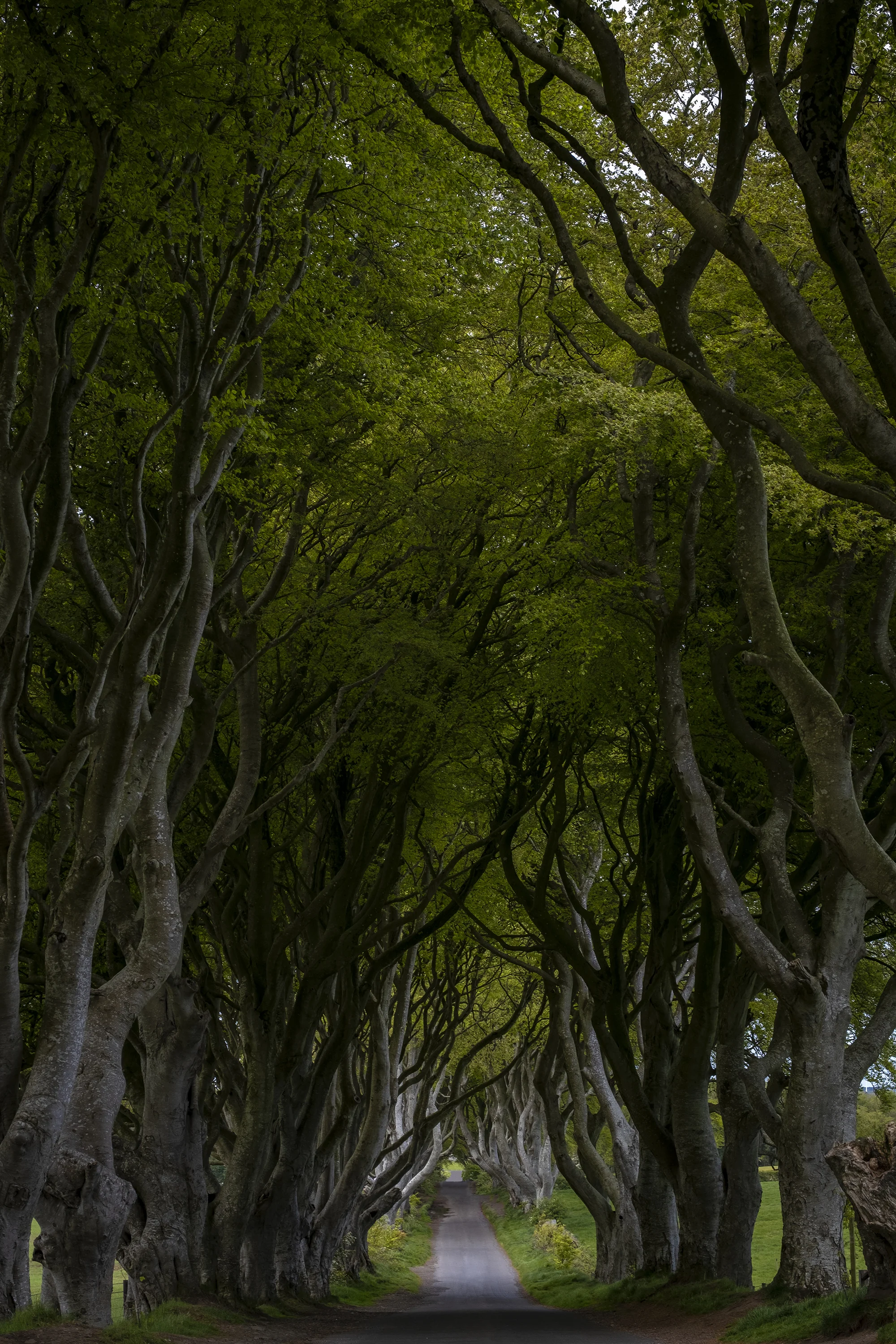Northern Ireland