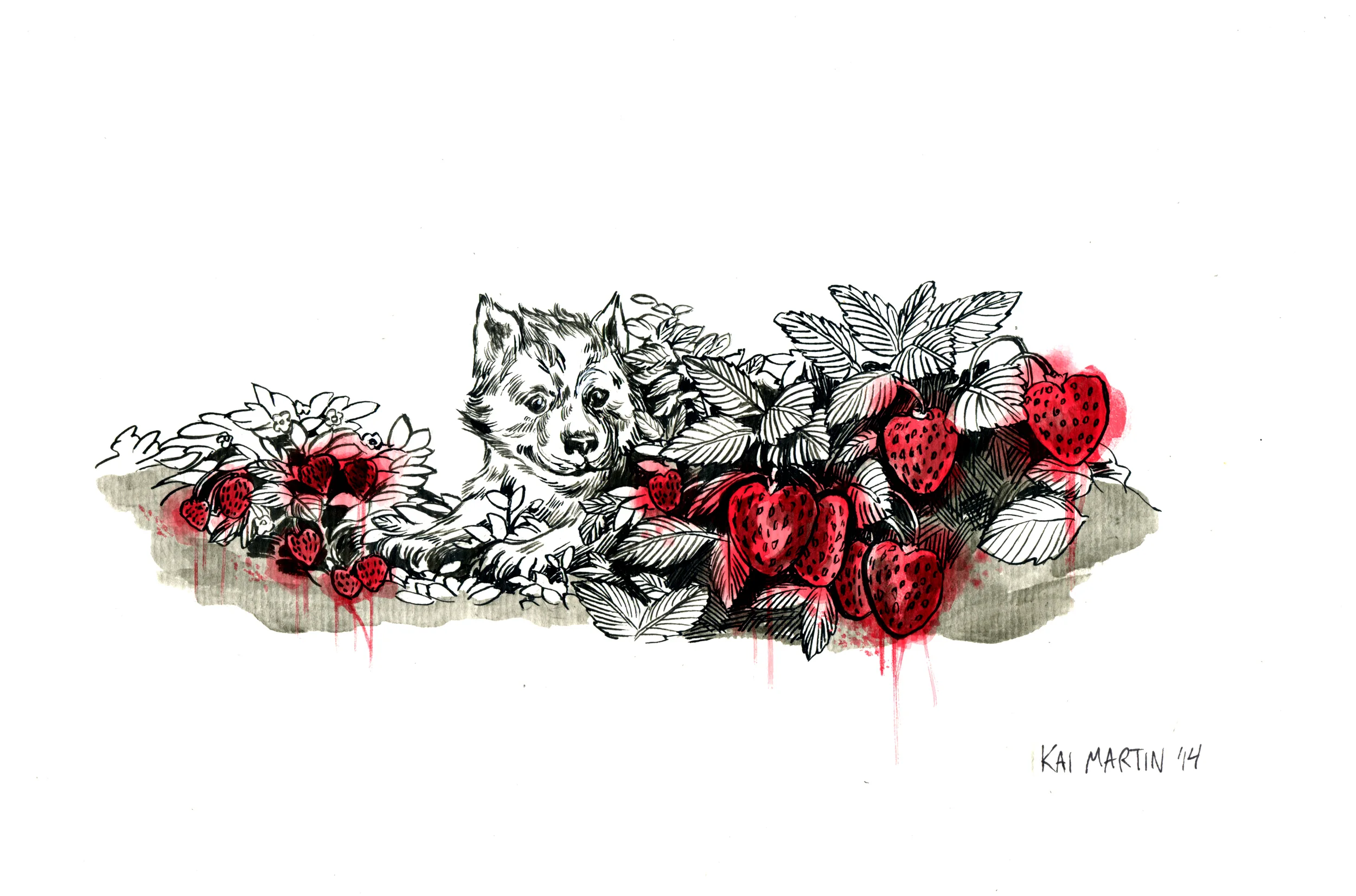 June-wolf.jpg