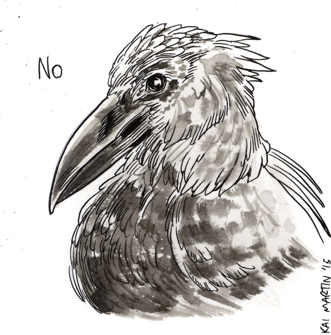 Bird 6.jpg
