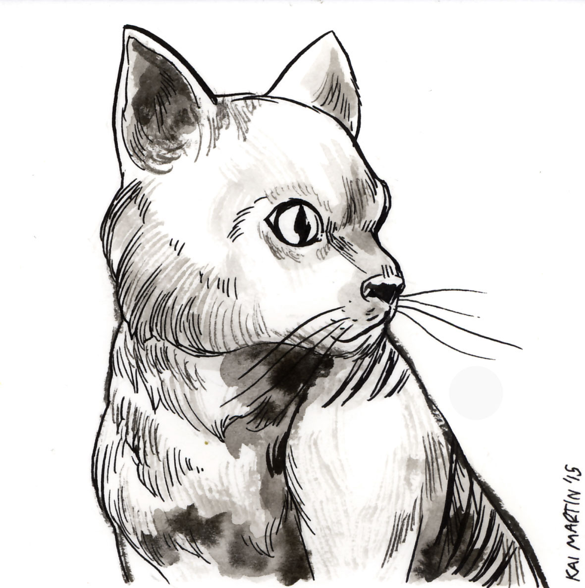 Cat 11.jpg