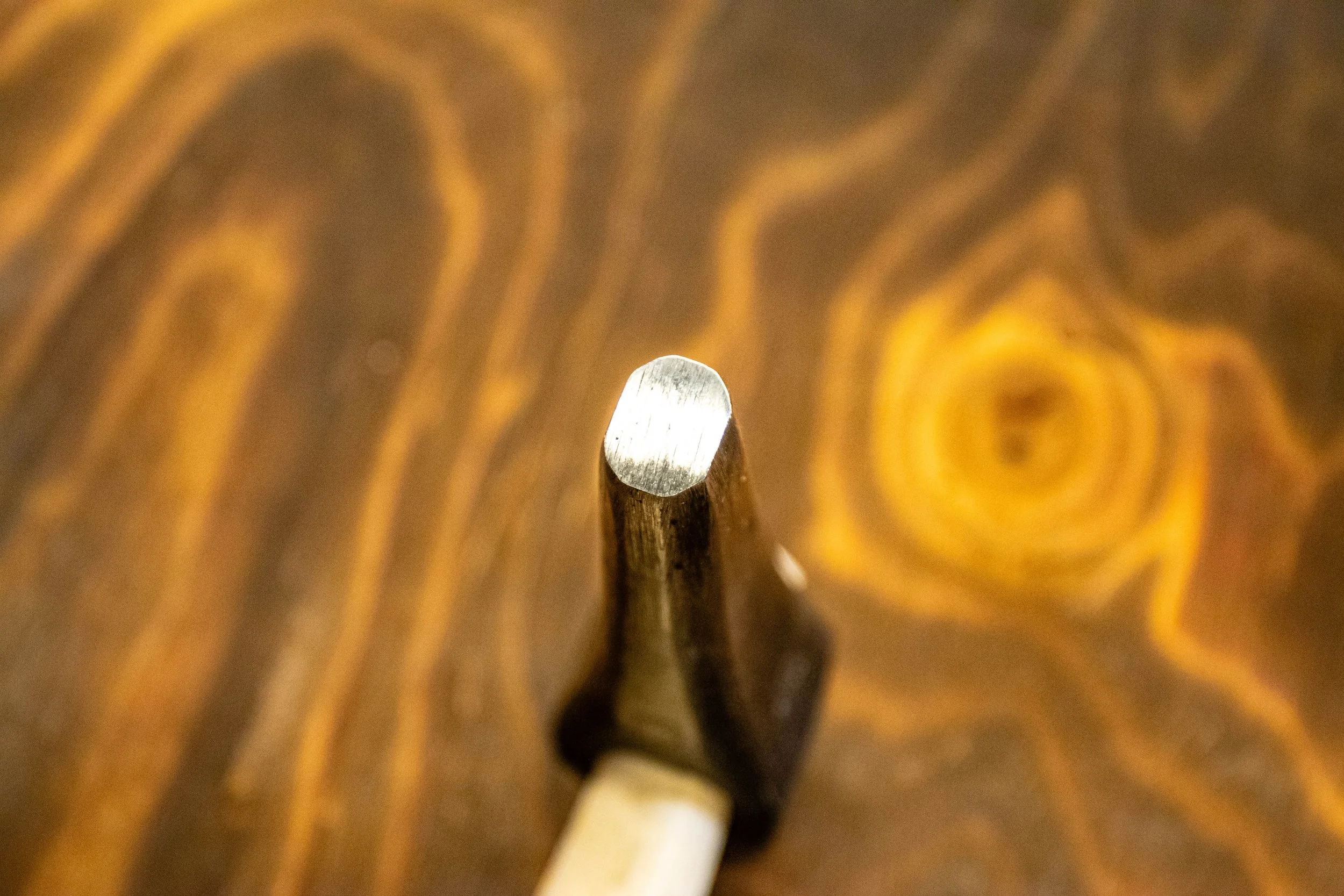 IB7A8517.jpg