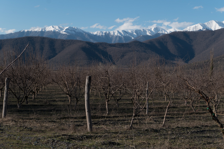 Spring has arrived but the Caucasus mountains are still covered in snow. 