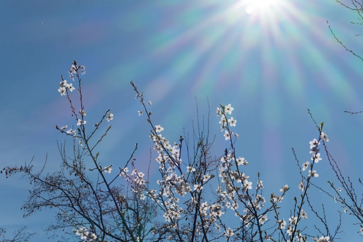 Spring has arrived.