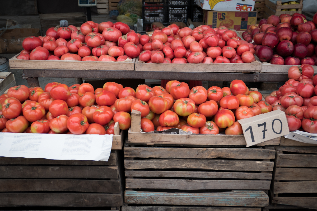 Hand picking tomatoes and fresh produce.