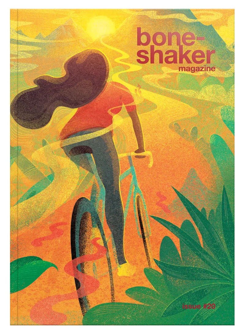 BS20-CoverMockup-800px.jpg