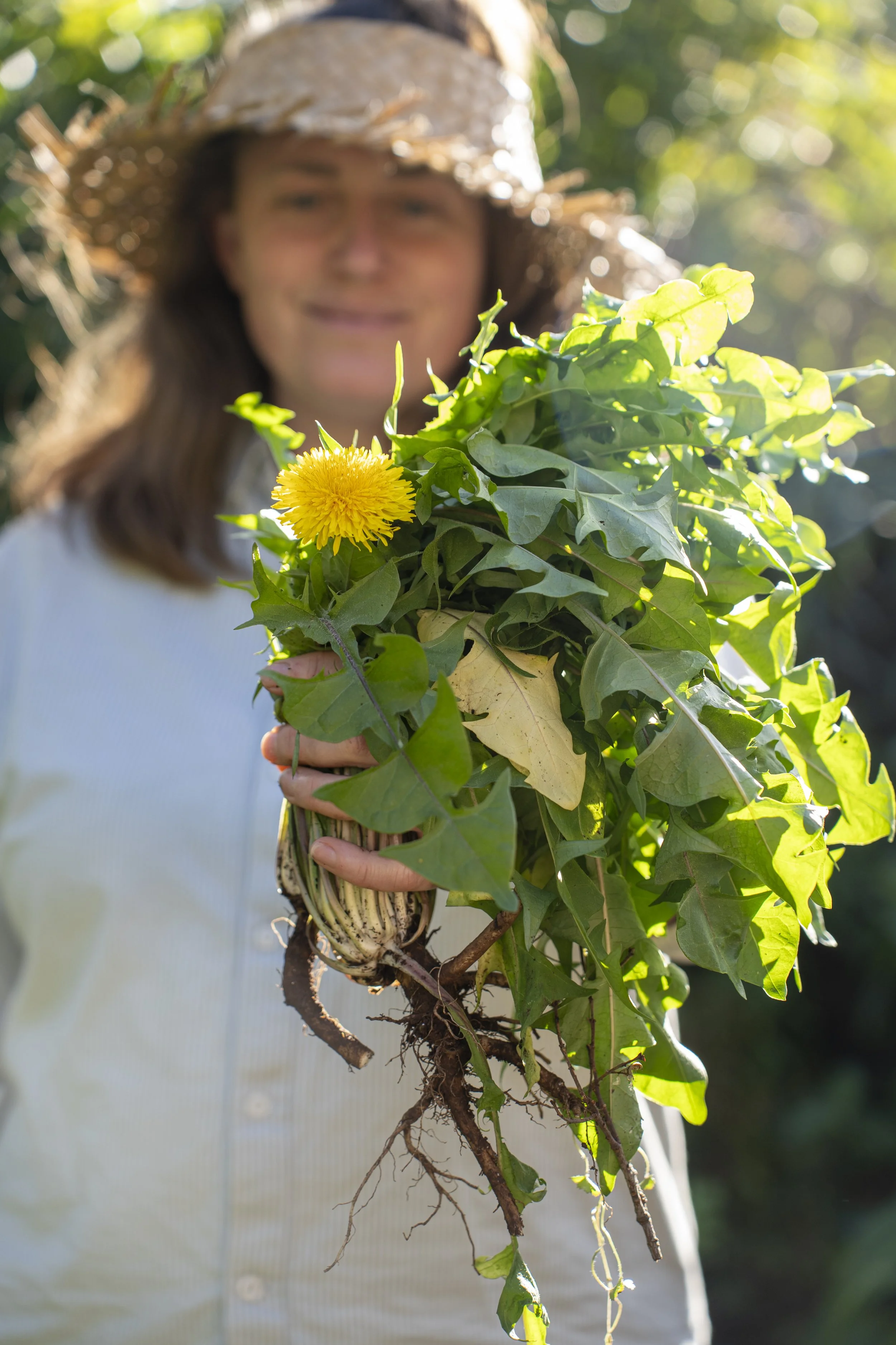 Holding dandelions Sophie Merkens-2800.jpg