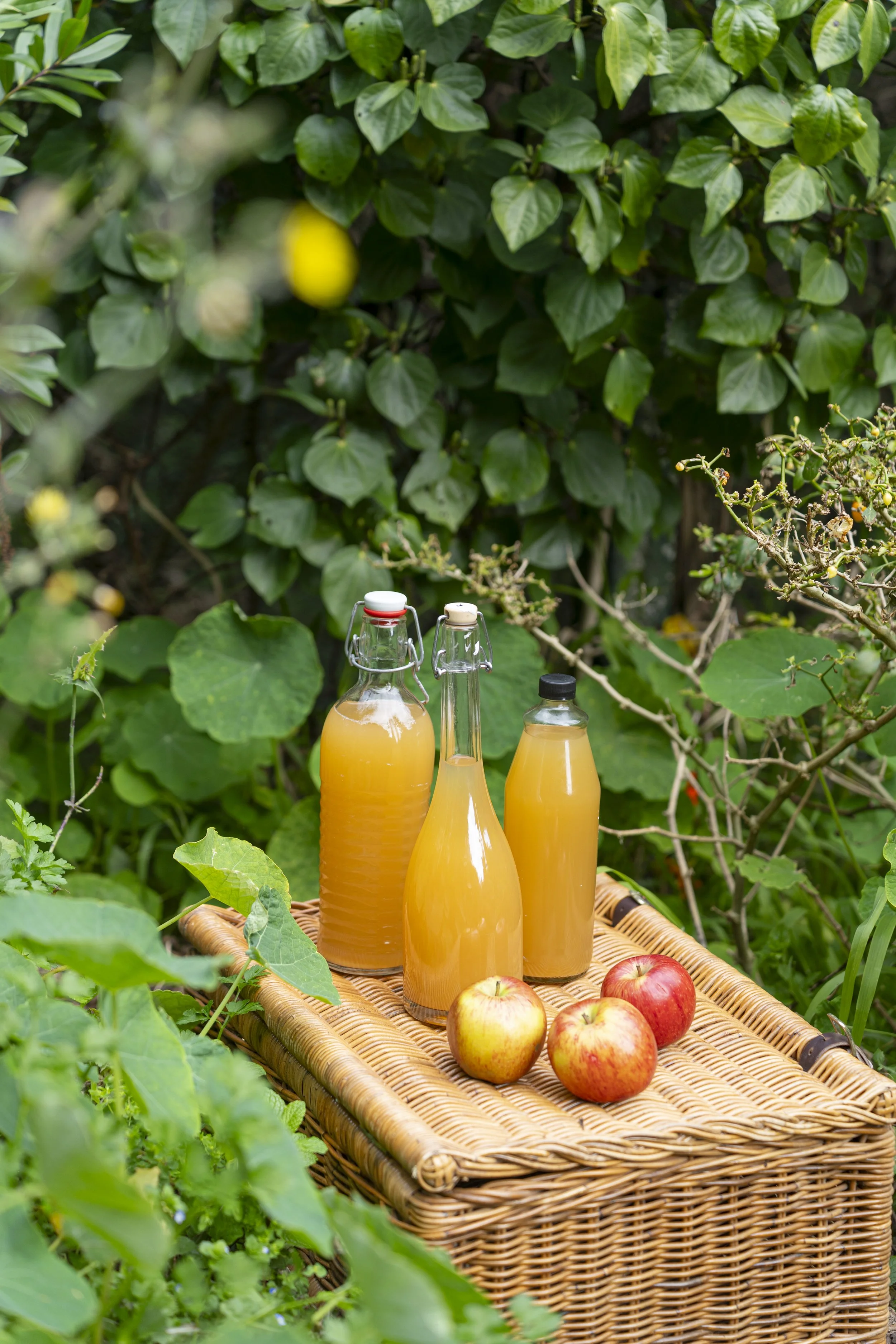 Apple Vingear - Sophie Merkens-08278.jpg