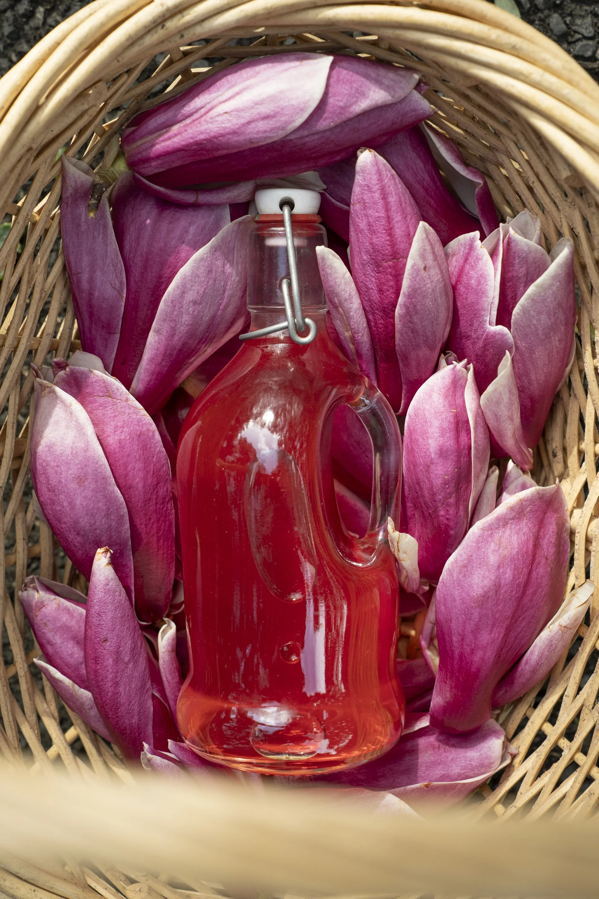 Magnolia and recipes - Sophie Merkens-07929.jpg