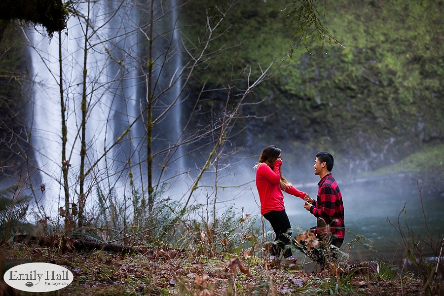 Willamette Valley Proposal Photographer - Silver Falls-18.jpg