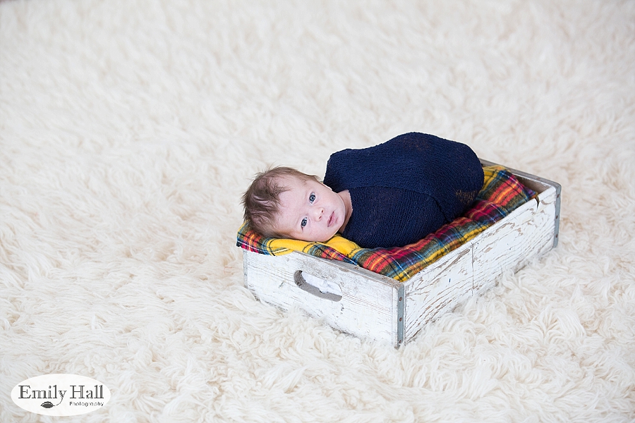 Salem Newborn Photographer-7629.jpg