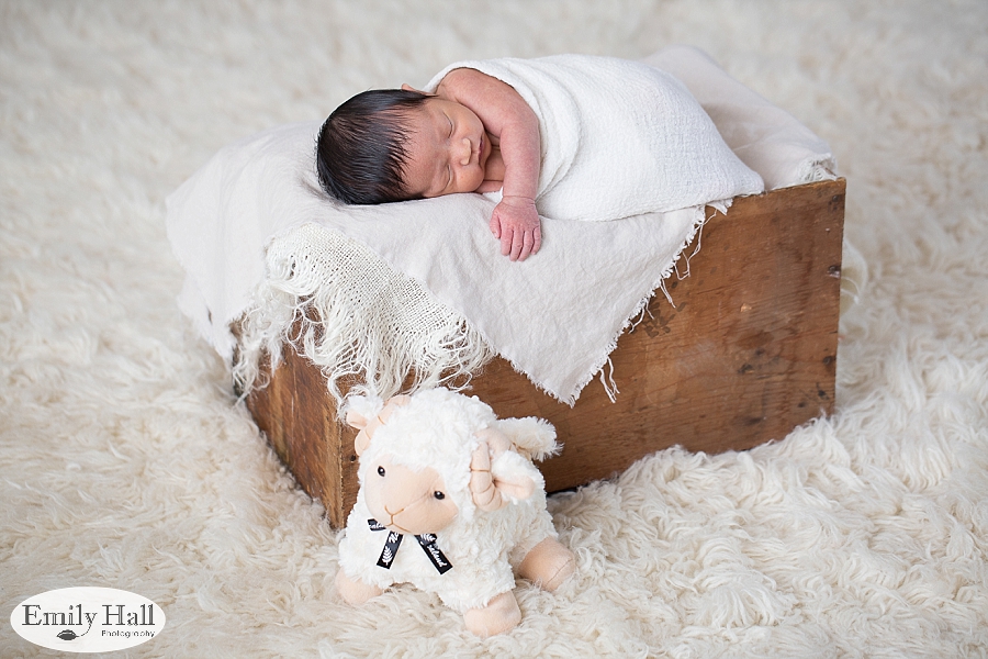 Salem Newborn Photography-8090.jpg