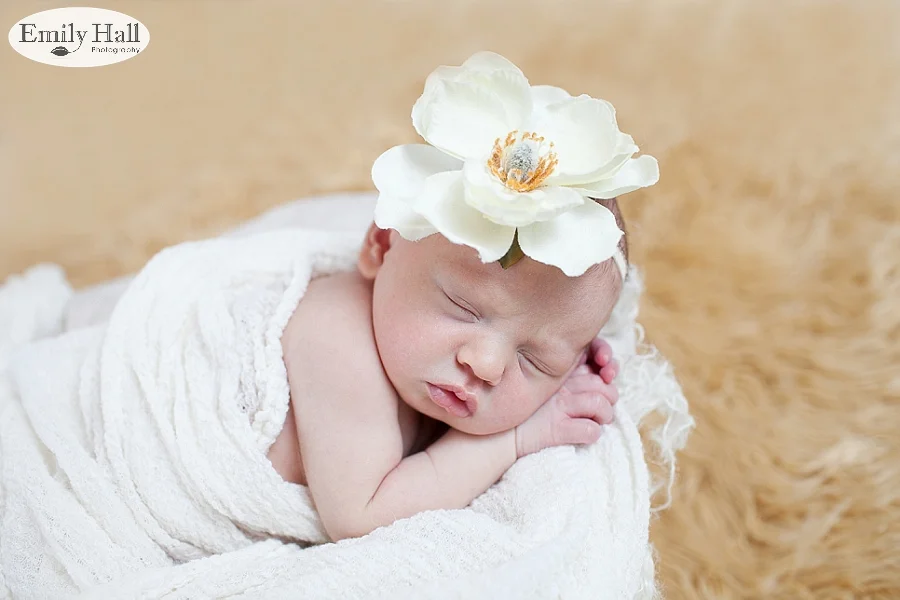 Salem Newborn Photographer-2391.jpg