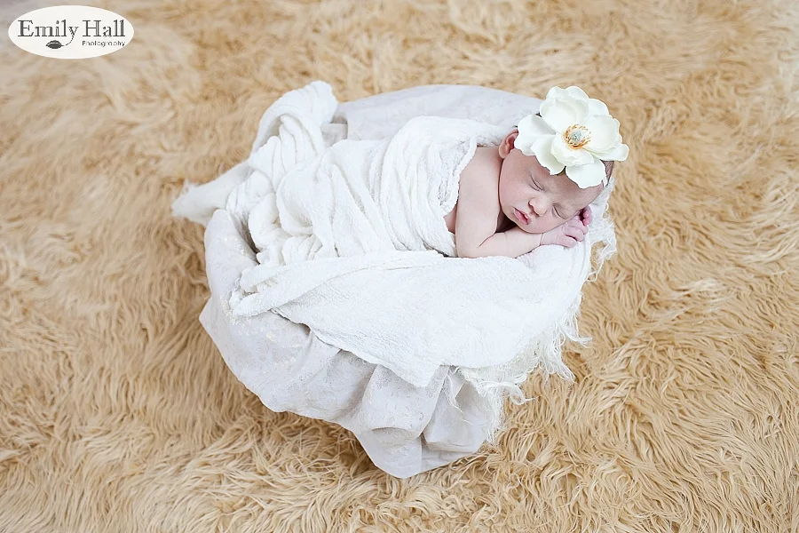 Salem Newborn Photographer-2394.jpg