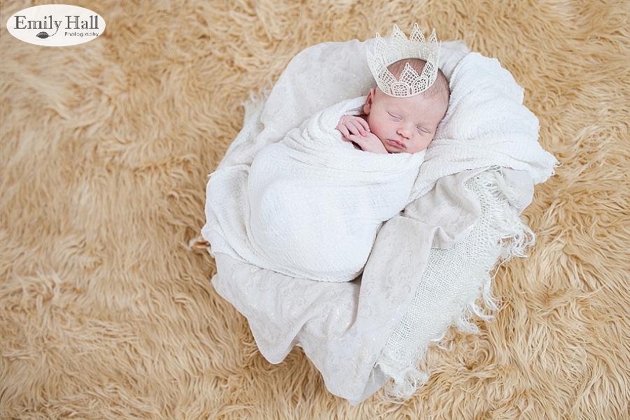 Salem Newborn Photographer-2377.jpg