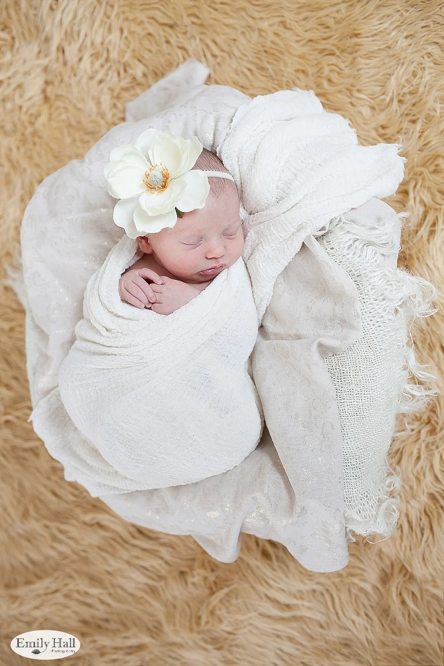 Salem Newborn Photographer-2382.jpg