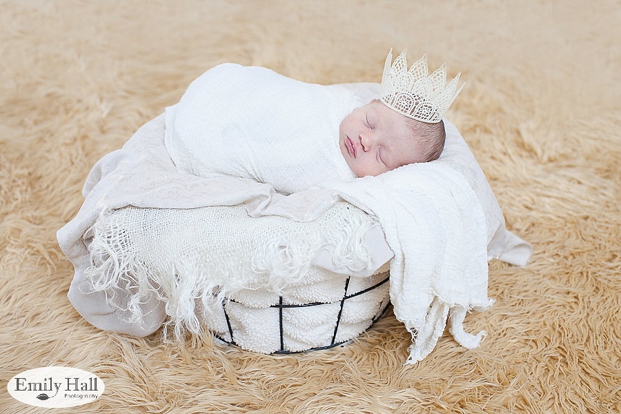 Salem Newborn Photographer-2376.jpg