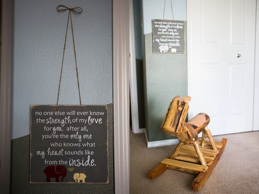 Salem Newborn Photographer-1831.jpg
