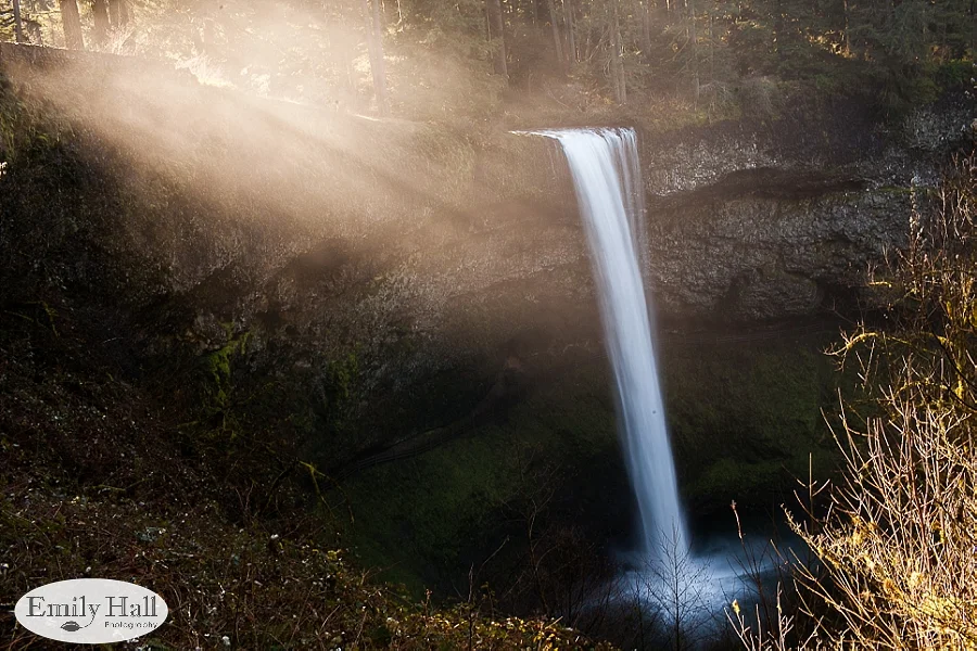Willamette Valley Proposal Photographer - Silver Falls-3.jpg
