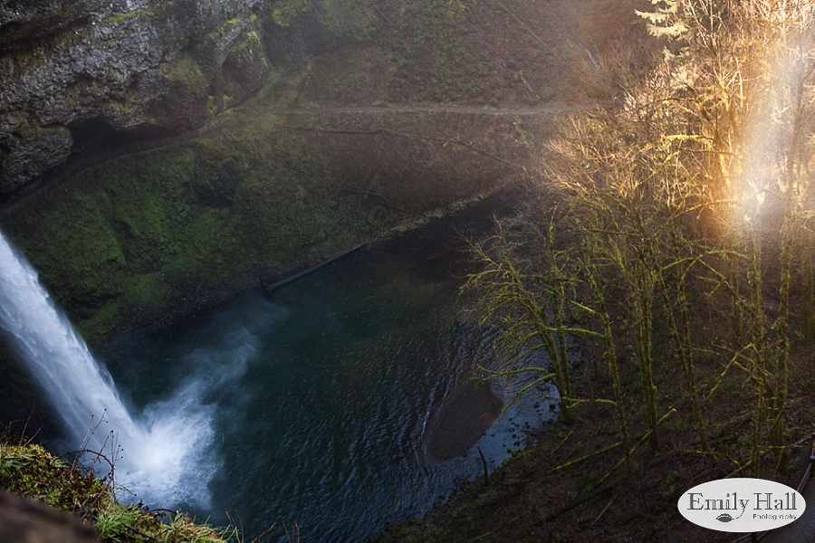 Willamette Valley Proposal Photographer - Silver Falls-1.jpg