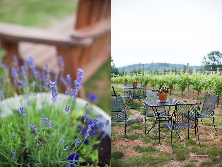 Emily Hall Photography-J Wrigley Vineyards -79.jpg