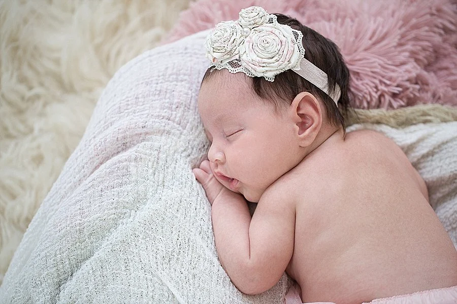 Albany Newborn Photographer - Emily Hall Photography-2038.jpg