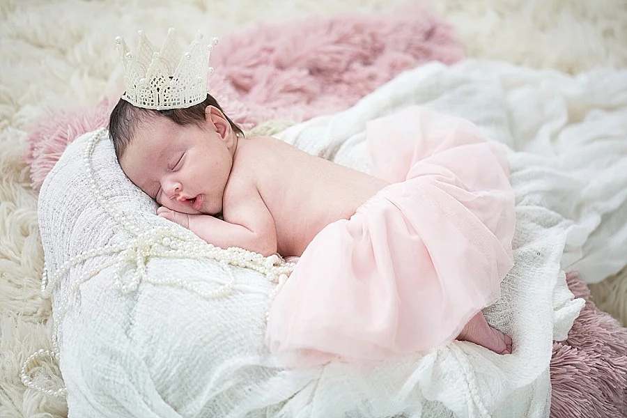 Albany Newborn Photographer - Emily Hall Photography-2050.jpg