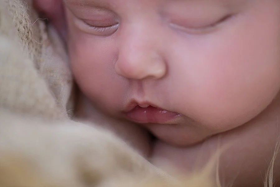 Albany Newborn Photographer - Emily Hall Photography-2100.jpg
