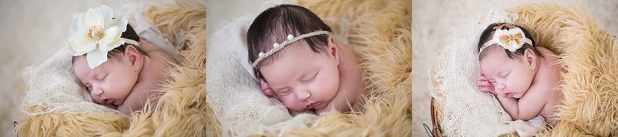 Albany Newborn Photographer - Emily Hall Photography-2111.jpg