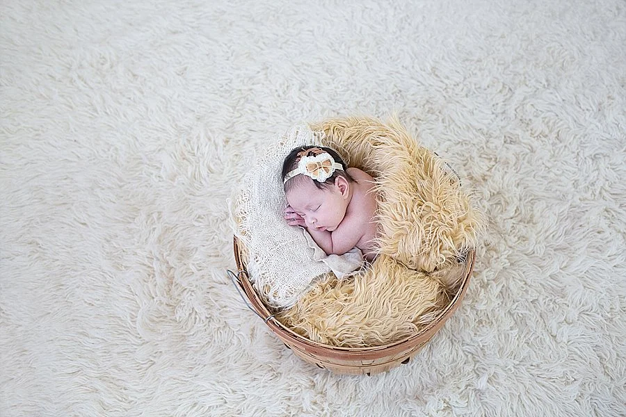 Albany Newborn Photographer - Emily Hall Photography-2131.jpg