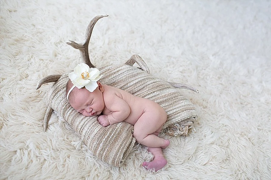 Newborn Portrait Session with Emily Hall Photography-0765.jpg