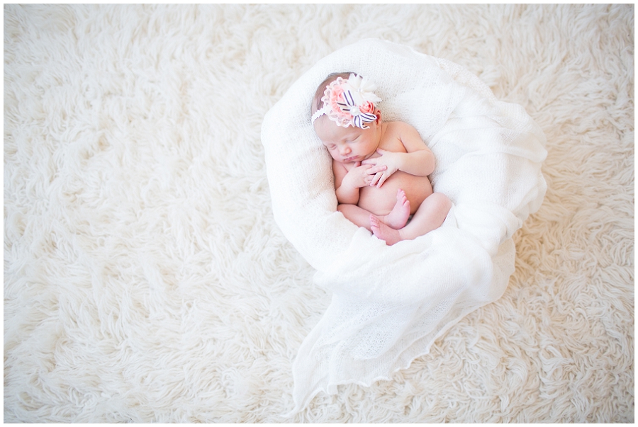 Albany  Newborn Photographer-10.jpg