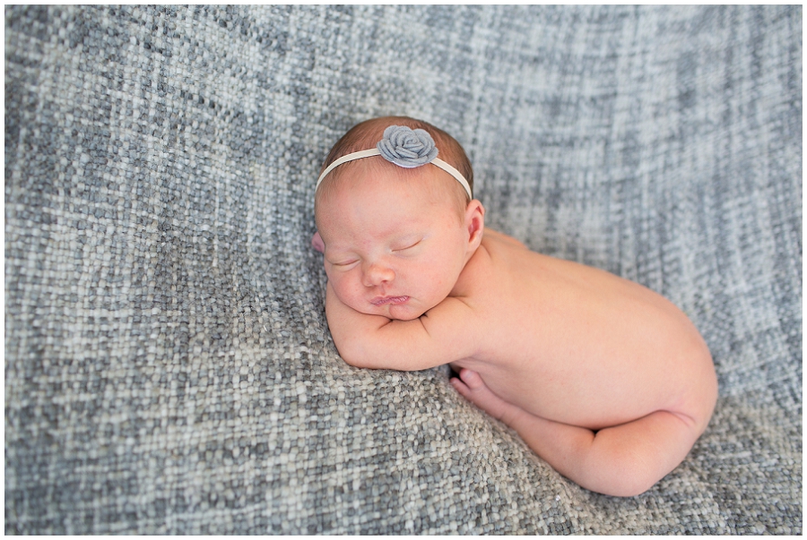 Albany  Newborn Photographer-18.jpg