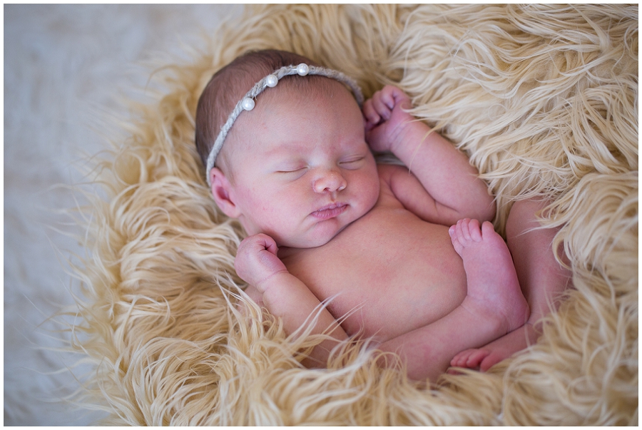 Albany  Newborn Photographer-23.jpg