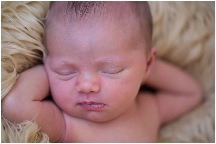 Albany Newborn Photographer-25.jpg