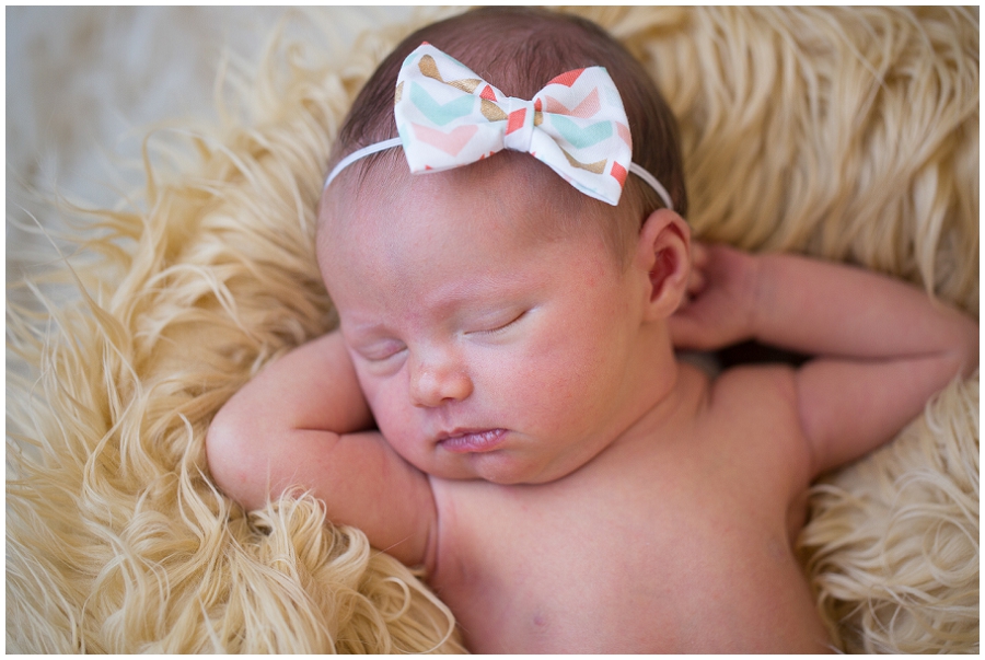 Albany  Newborn Photographer-26.jpg