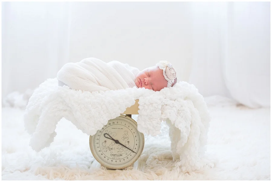 Albany Newborn Photographer-7.jpg