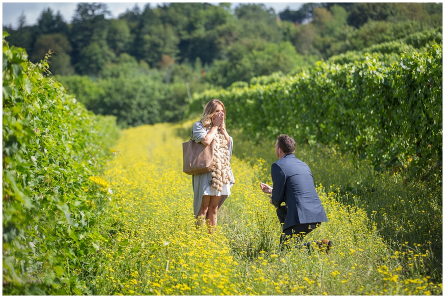 Wedding Proposal at Rex Hill Winery-23.jpg