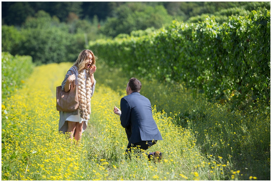 Wedding Proposal at Rex Hill Winery-25.jpg